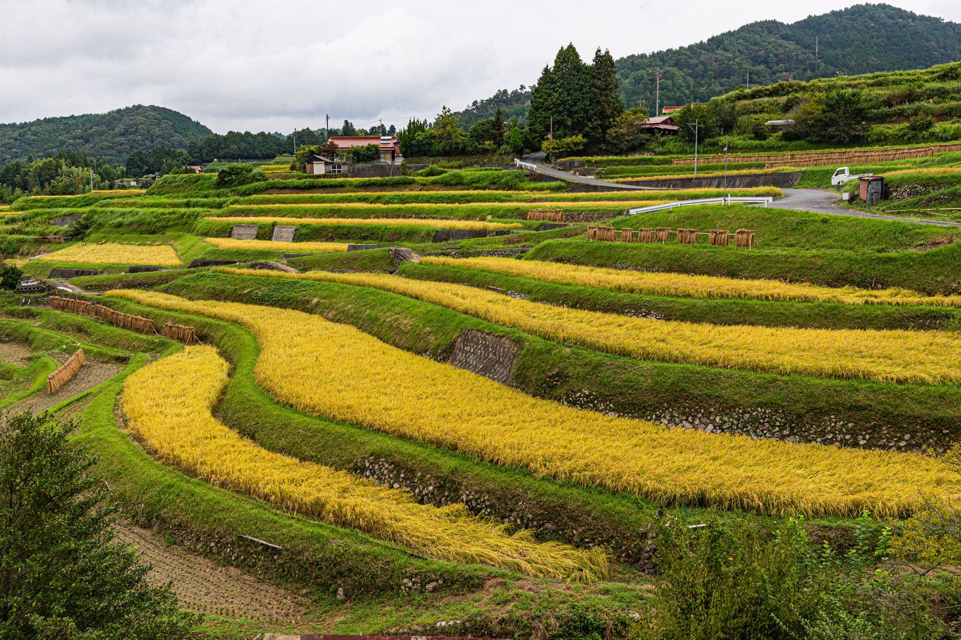 To znana firma z Japonii. Teraz wchodzi w rolnictwo