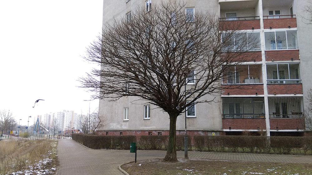 HTC Desire Eye - test fotograficzny 17