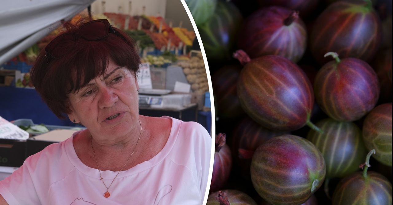Agrest - smak dzieciństwa na bazarach w Kielcach. Jest idealny na konfiturę i kompot. Jakie ceny?