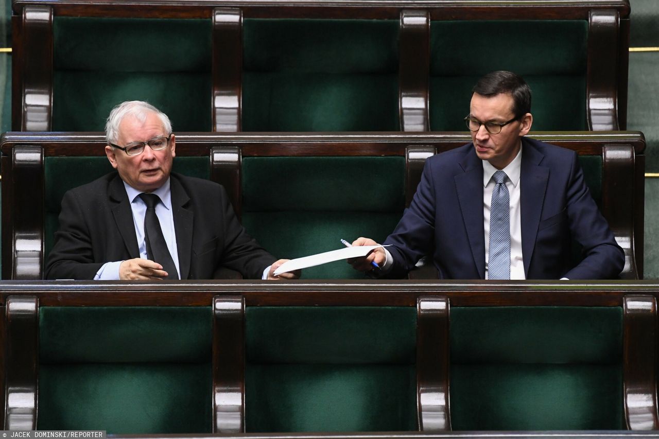 PiS lekko rośnie, KO utrzymuje pozycję. Jest nowy sondaż Kantar