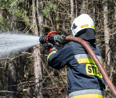 Duże zagrożenie pożarowe w lasach. Kolejne alerty RCB