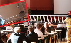 Gołąb na maturze w Szczecinie. Przyjechała straż pożarna