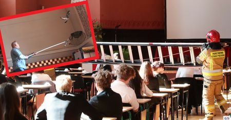 Gołąb na maturze w Szczecinie. Przyjechała straż pożarna
