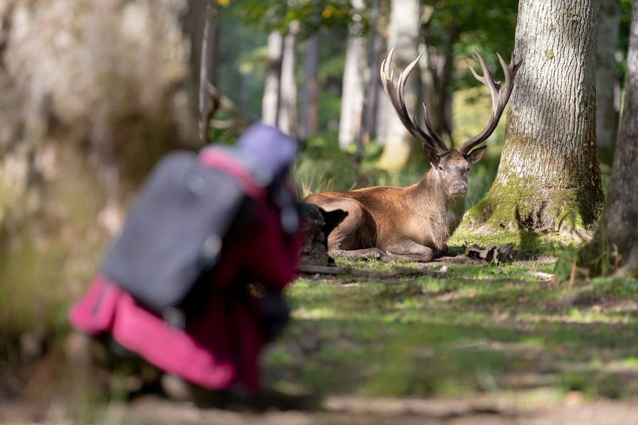 "Myśliwstwo to nie hobby, nie sport, a wzięcie odpowiedzialności