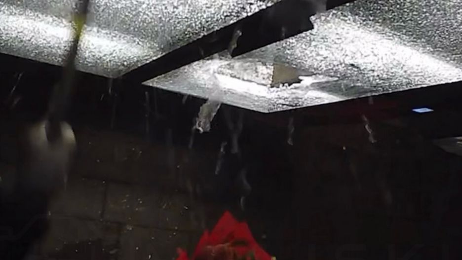 Czytelniczka Miejskiego Reportera.