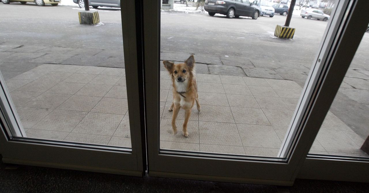 Łódź: Seniorka uległa wypadkowi w hotelu.  Jest wyrok sądu