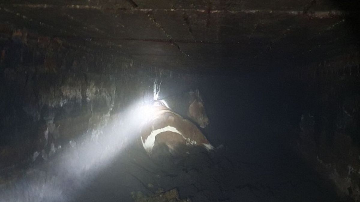 Strażacy pokazali zdjęcia