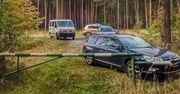 Leśnicy ostrzegają. Grzybobranie może zrujnować polskie lasy