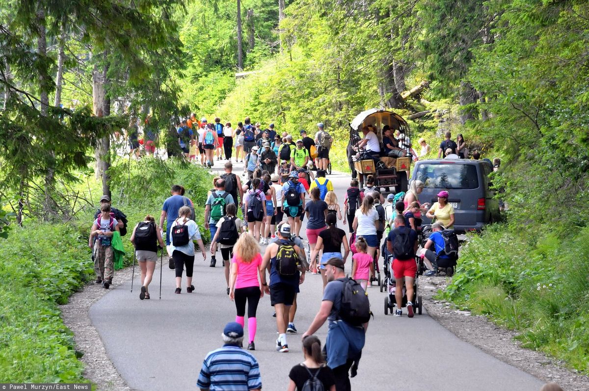 Nad Morskie Oko wybrali się z małpą. Interweniowała straż parku 