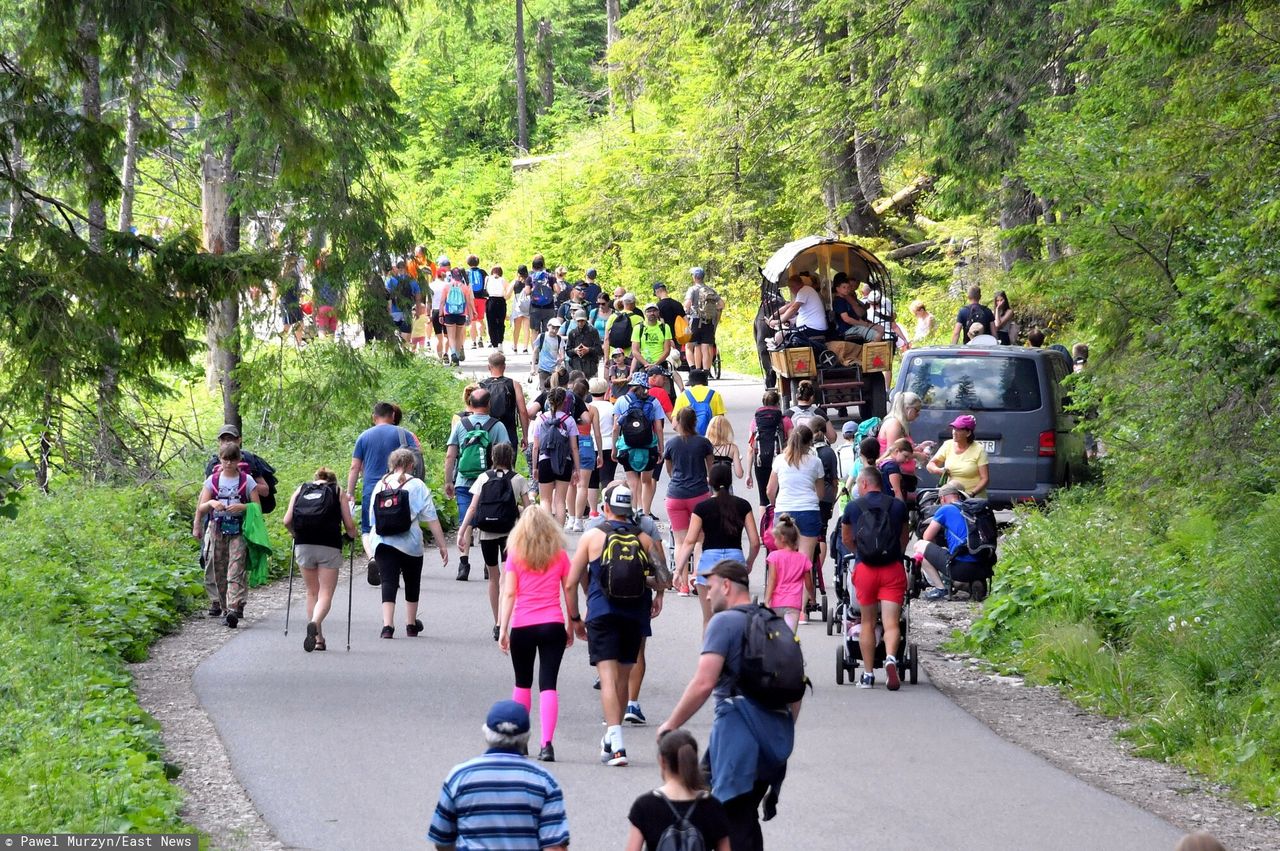 Nad Morskie Oko wybrali się z małpą. Interweniowała straż parku