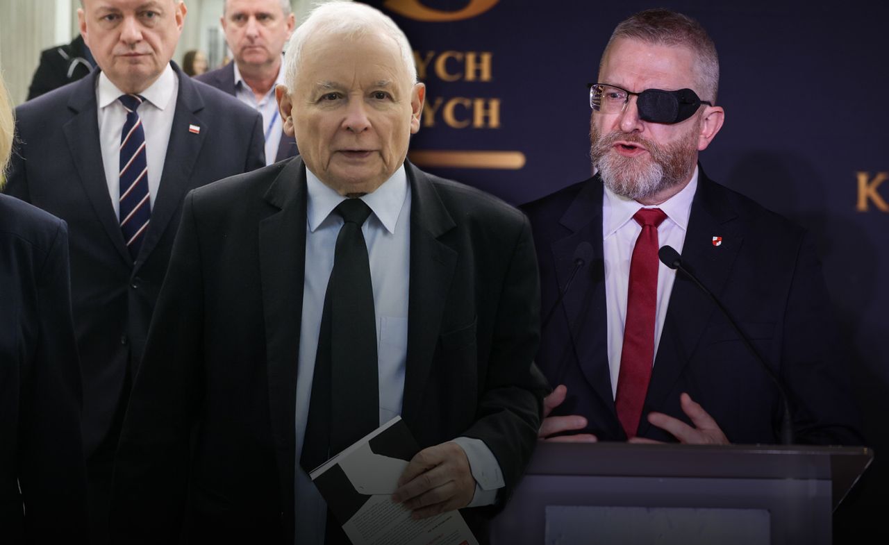 Braun "koszmarem" PiS, w partii znów są tarcia. "Na razie nie mamy sposobu"