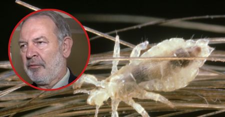 Ekspert nie ma wątpliwości. "Tam, gdzie są ludzie — tam będą i wszy"