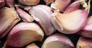 Oto naturalne antybiotyki. Tymi roślinami możesz wspomóc leczenie