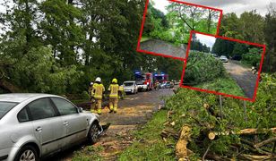 Intensywne burze w Polsce. Strażacy mieli pełne ręce roboty