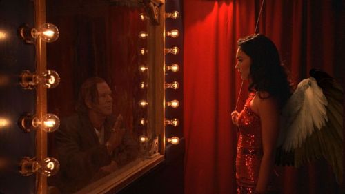 Chciałbyś takiego anioła stróża? [klipy] 1