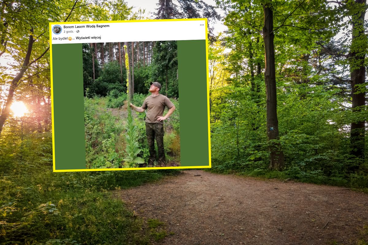 Jest ogromna. Pokazał zdjęcie. "Takiej to ja jeszcze nie widziałem"