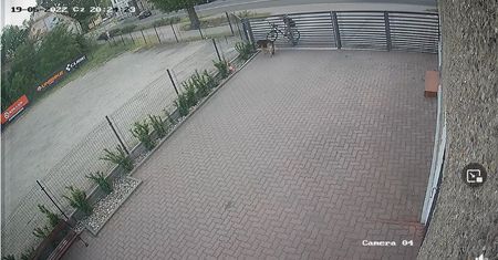 Podał psu truciznę. Areszt dla 36-latka