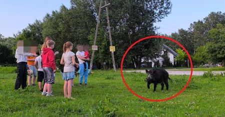 "Lokalne atrakcje". Zdjęcie z Warszawy obiegło sieć