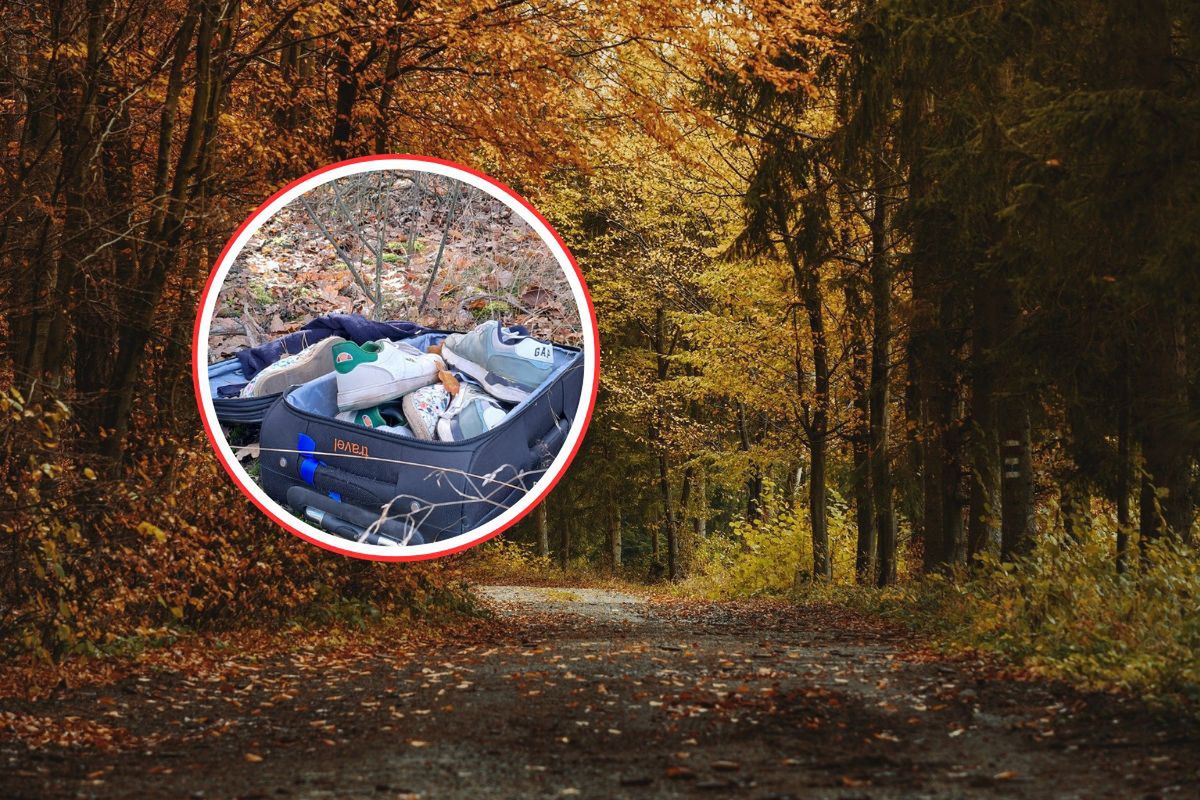 "Komentarz zbędny". Walizka leżała w lesie. Oto jej zawartość