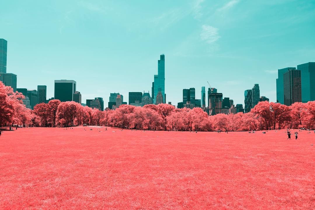 Central Park uchwycony w surrealistyczny sposób