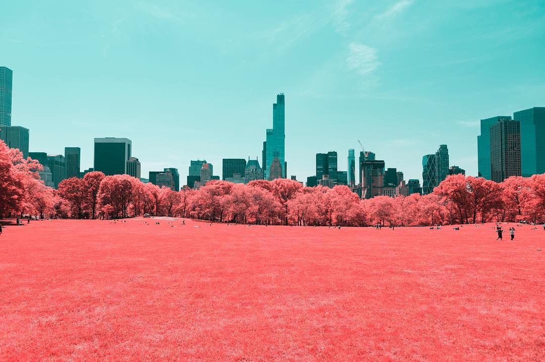 Central Park uchwycony w surrealistyczny sposób 1