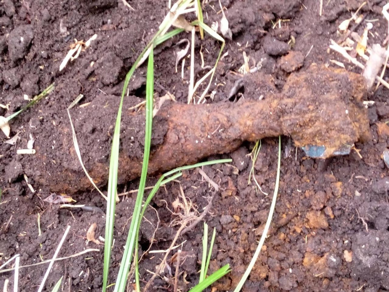 Niecodzienne znalezisko. Kopała ziemię w starej sadzawce