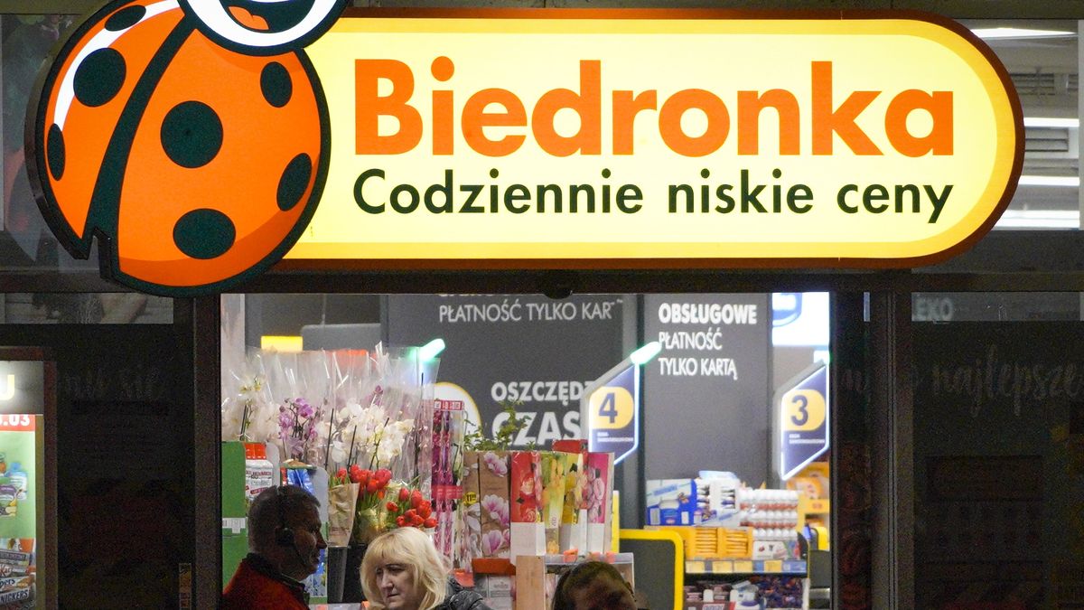 Promocje w Biedronce na chryzantemy