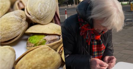 Pistacje pokonały przechodniów. Takie pytania mogłyby paść w "Milionerach"