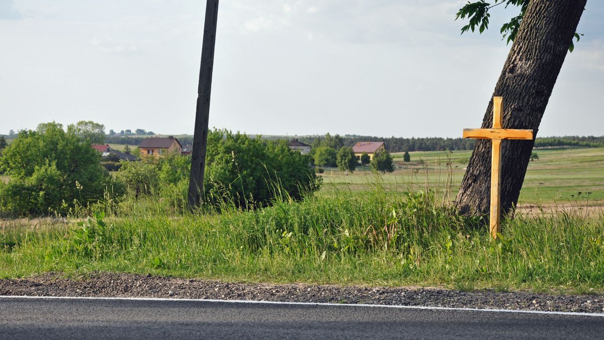 Zdjęcie ilustracyne