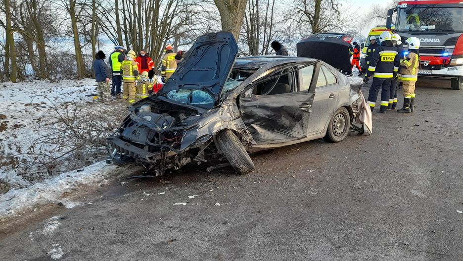 Wypadek w Kamionkach. Kierowca na drzewie