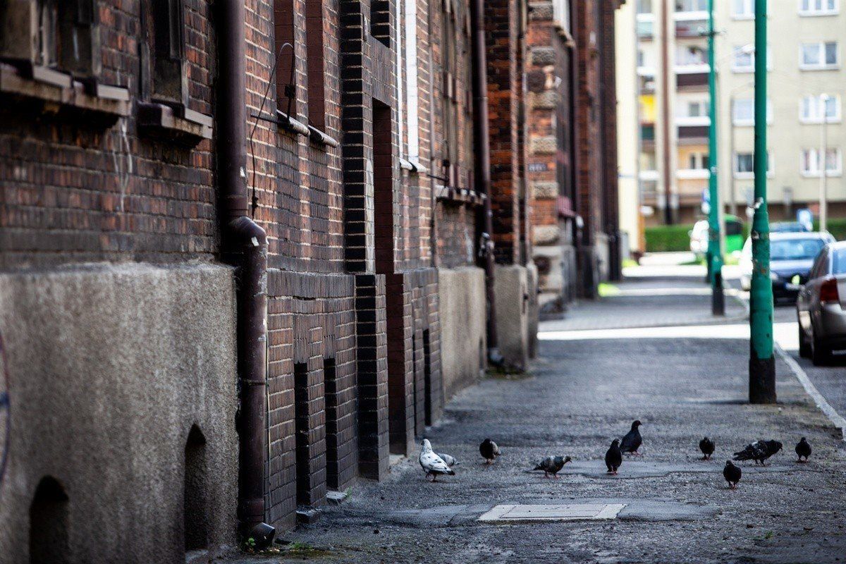 Świętochłowice: Prezydent miasta podkreśla przemianę i rozwój Lipin