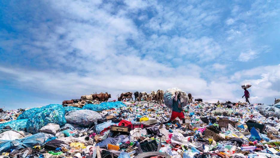 Zaskakujące odkrycie. Bakterie ewoluują, by jeść plastik