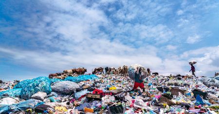 Zaskakujące odkrycie naukowców. Bakterie nauczyły się jeść plastik
