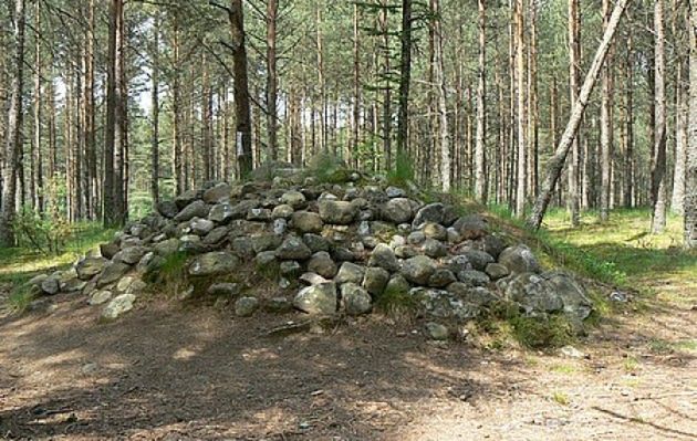 Obraz