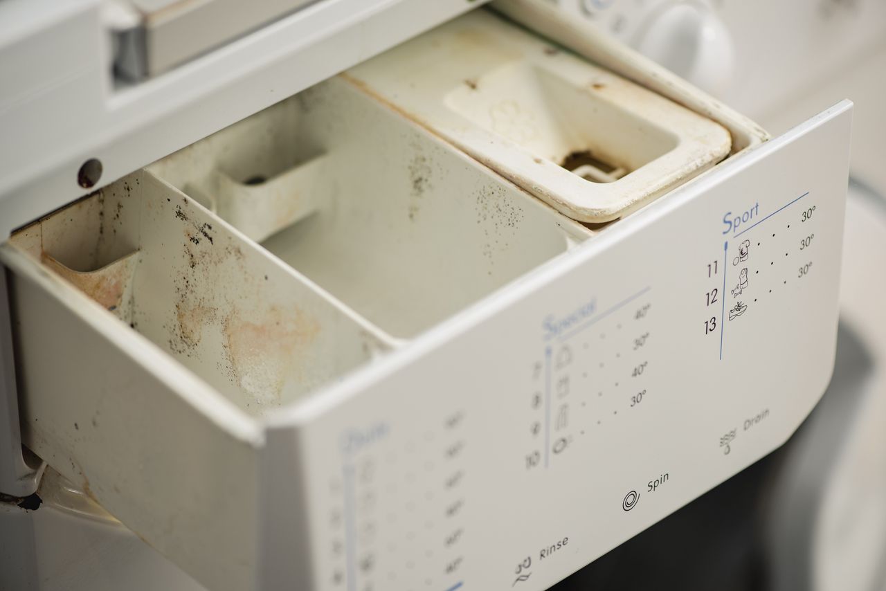 Namocz i włóż do przegródek. Uciążliwy problem zniknie