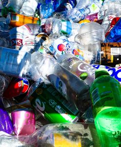 Porażka systemu kaucyjnego? Polacy zabrali głos