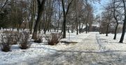 Radom: Rewitalizacja Parku imienia Józefa Ruzika na Glinicach odłożona. Prace dopiero w latach 2027.-28