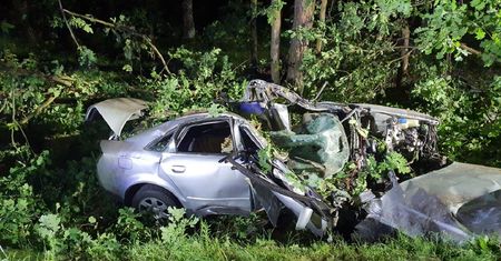 19-latek ściął audi 5 drzew. Zdjęcia z wypadku pod Radomiem