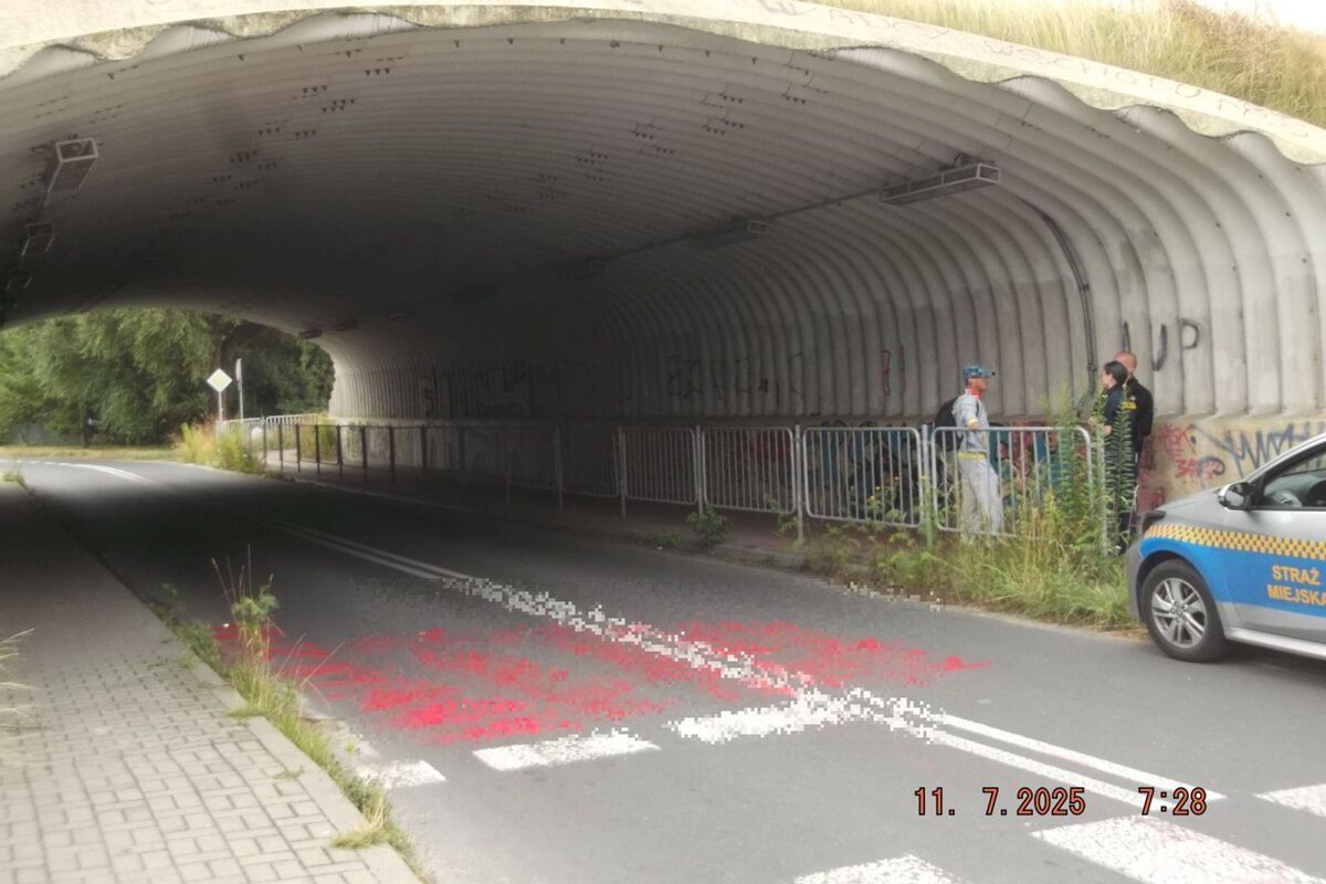 Wandale namalowali farbą wulgarne napisy na ul. Wspólnej