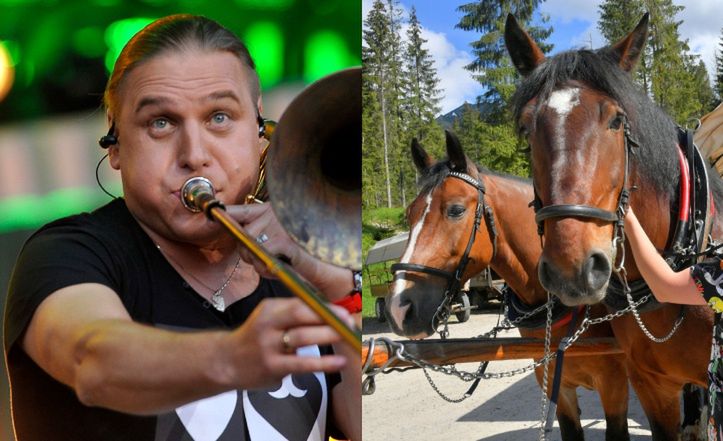 Paweł Golec o transporcie konnym na Morskim Oku