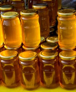 Tak nas oszukują na miodzie. Wyniki kontroli