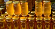 Tak nas oszukują na miodzie. Wyniki kontroli