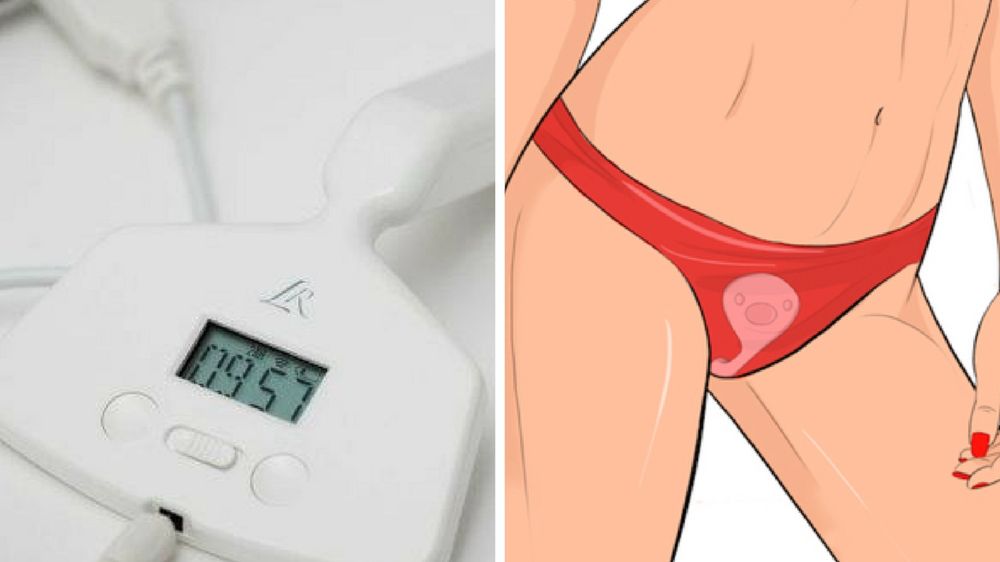 Little Rooster to budzik z wibratorem