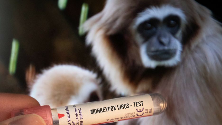 Testy na ma?pi? gryp?Test tubes labelled "Monkeypox virus" are seen in this illustration taken in Zagreb, Croatia on May 24, 2022. Photo: Davor Puklavec/PIXSELLDavor Puklavec/PIXSELL