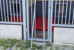 Wrocław. Włamanie do schroniska. Skradziono psa zabezpieczonego przez prokuraturę