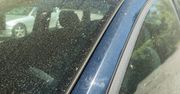 Pył znad Sahary dotarł do Polski. Bez wiedzy możesz zniszczyć auto
