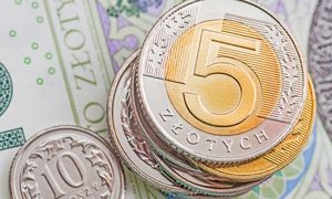 Co będzie się działo ze złotym? Strateg prognozuje