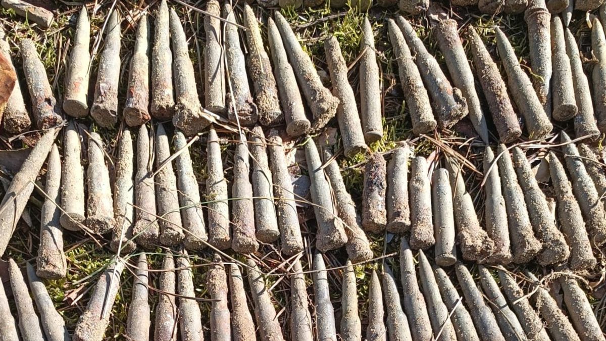 Leśnicy ostrzegają.