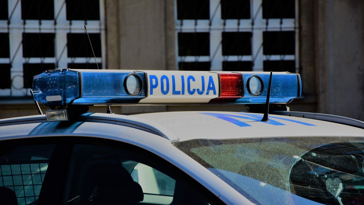 Warszawska policja rozbija młodzieżowy gang.