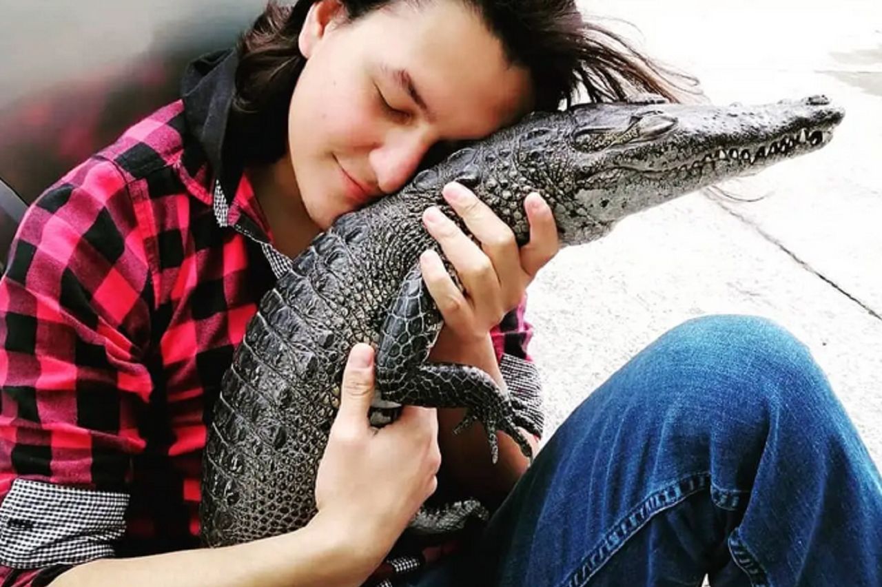 From Marvel to Mexico. Man treats crocodile like pet dog, names her Gamora